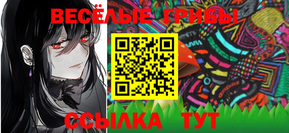 Псилоцибиновые грибы Psilocybine cubensis  Вход с VPN  Подольск 